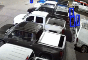 Detected criminals in action