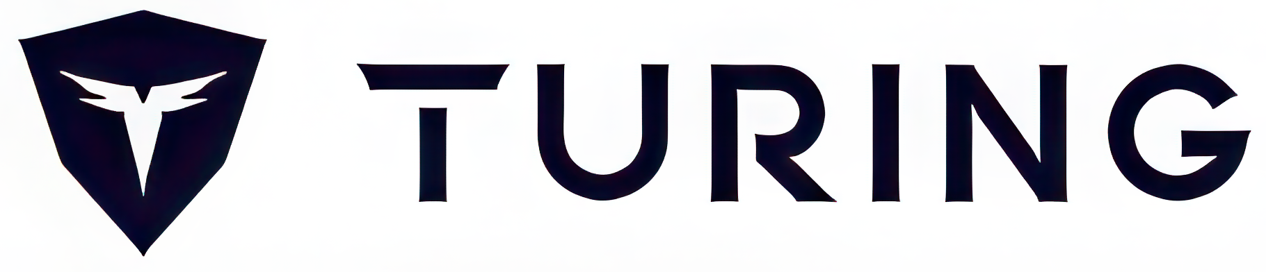 turing logo turing logo